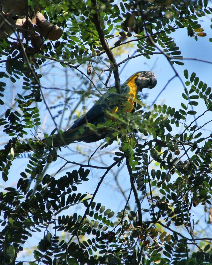 Thermas Goias - Park Veredas
